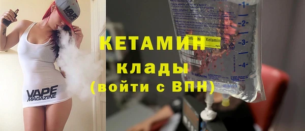 стаф Алзамай