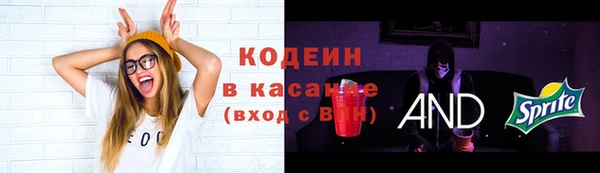 мескалин Переславль-Залесский