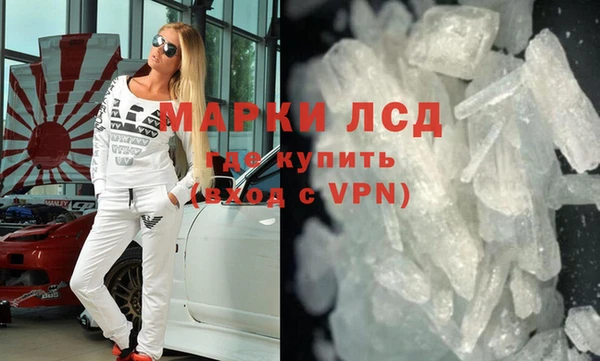 стаф Алзамай