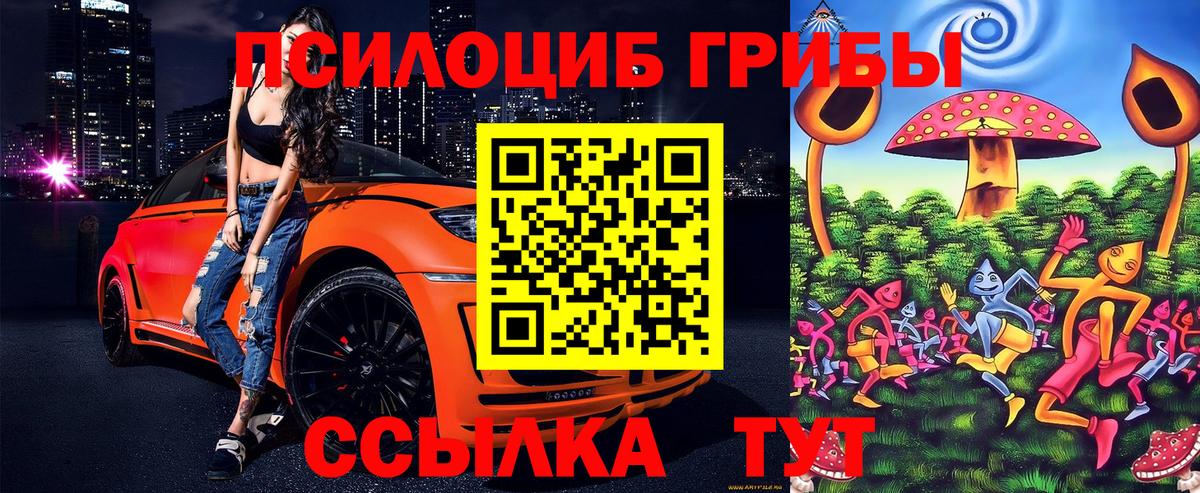 Псилоцибиновые грибы прущие грибы  Вход с VPN  Сосновоборск 