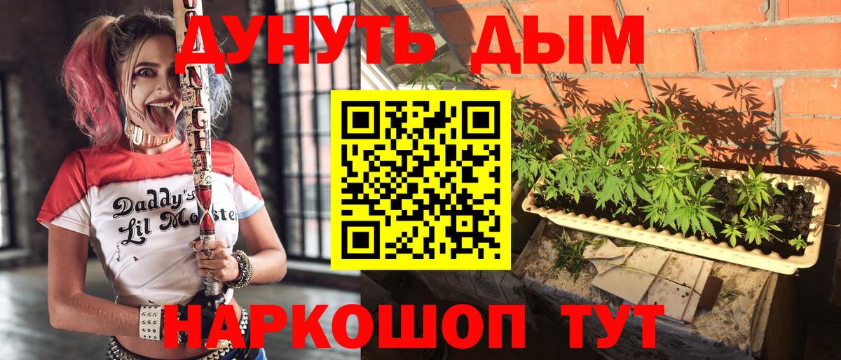 Конопля конопля Сосновоборск